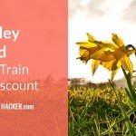 Esk Valley Railcard - Train Travel Discount